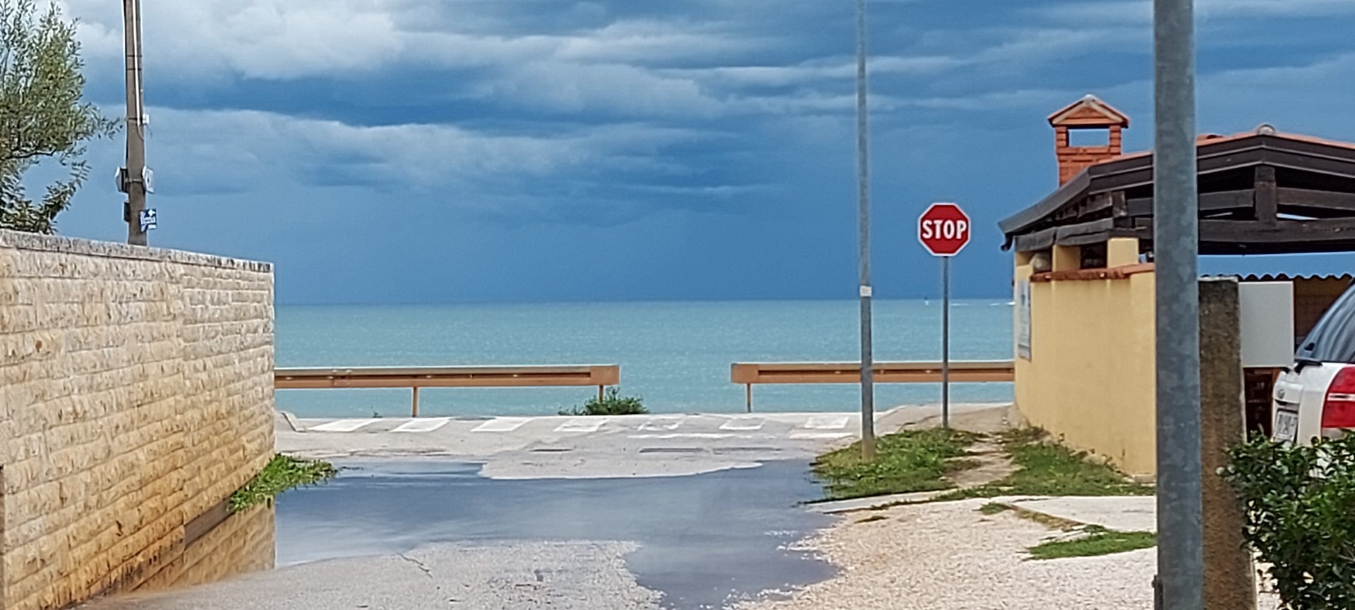 Kad priroda stvara poeziju